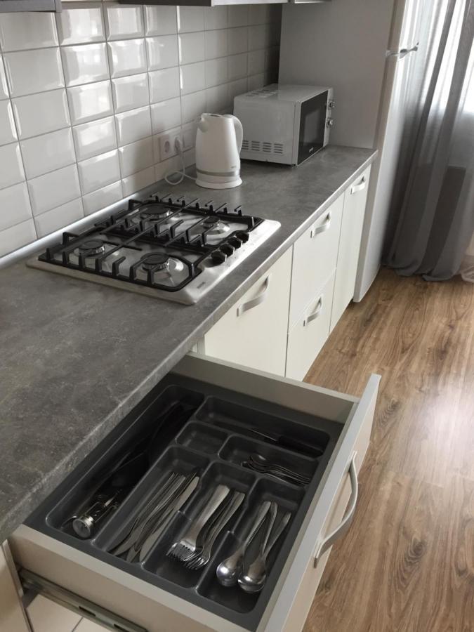 Scandinavian Apartment Lviv Kültér fotó