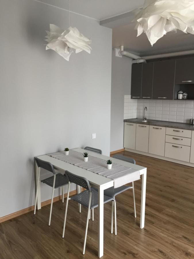 Scandinavian Apartment Lviv Kültér fotó
